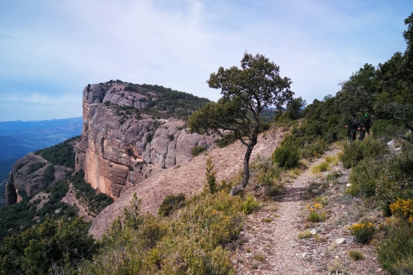 Mountain biking on great trails in Spain